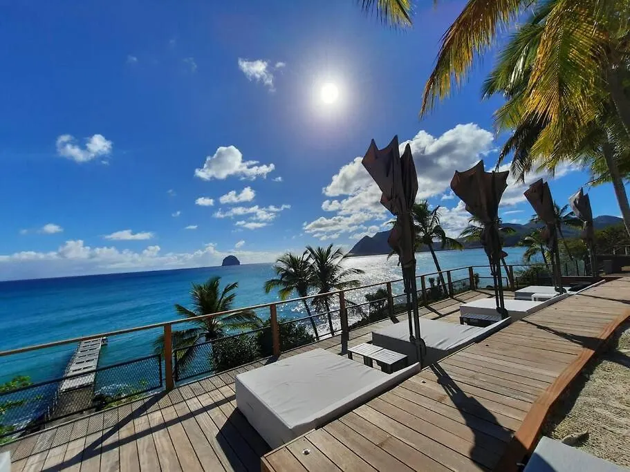 Dream Diamond Studio Le Diamant